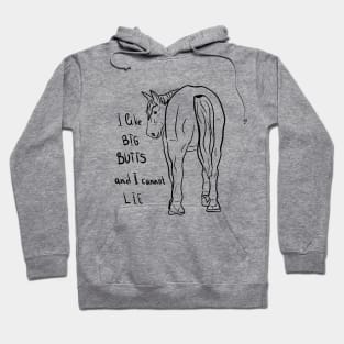 I like big butts and I can not lie Hoodie